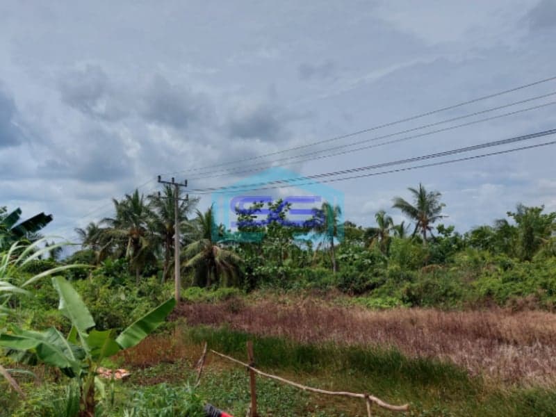 Dijual Tanah Luas 33 Ha Lokasi Strategis Tepi Jln Tanjung Api Api KM 42 Palembang