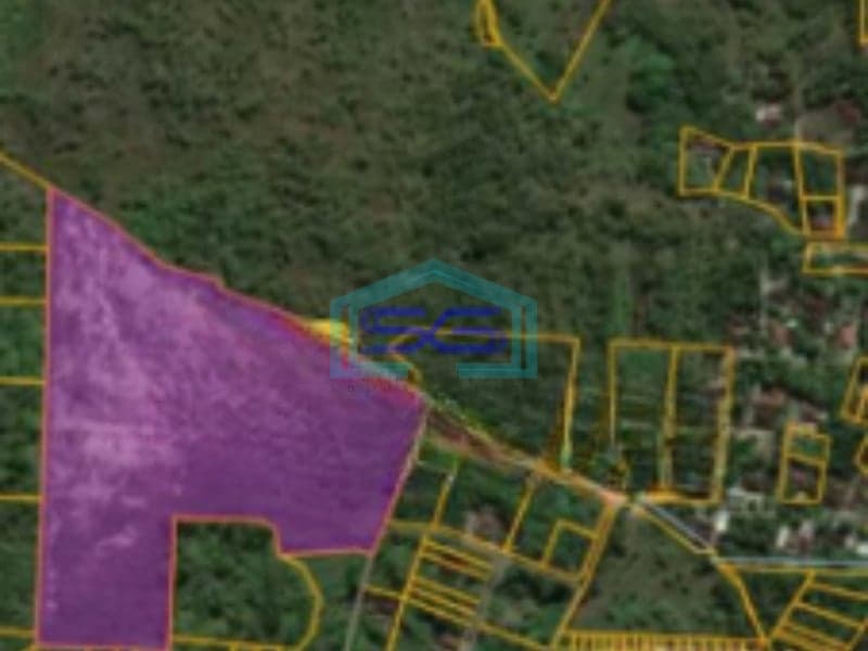 Dijual Tanah Cocok Untuk Pabrik Atau Gudang, Wuryantoro, Wonogiri Luas Tanah 50966 m²