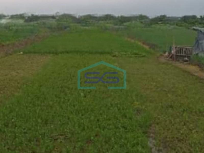 For Sale Land 2590 m² SHM Certificate Brebes Location