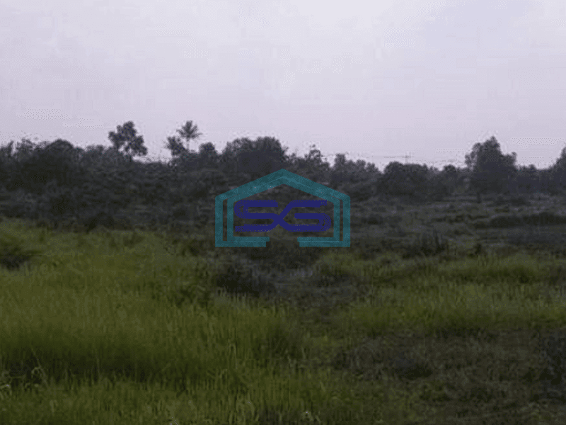 Dijual Tanah Di Kawasan Tristate Cikupa Tangerang Luas Tanah 33000m2 Zona Industri