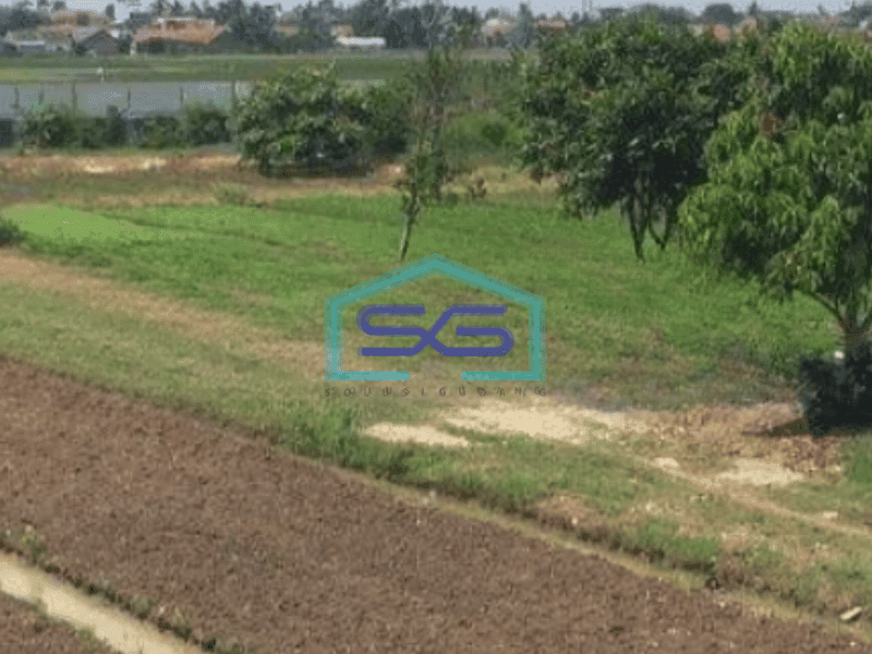 Dijual Cepat Kavling Tanah Strategis Di Jl. Raya Kampung Melayu