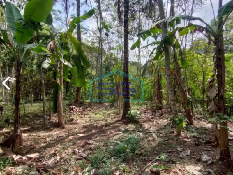 Dijual Tanah di Wukirsari, Cangkringan, Sleman Yogyakarta Luas 9343m2