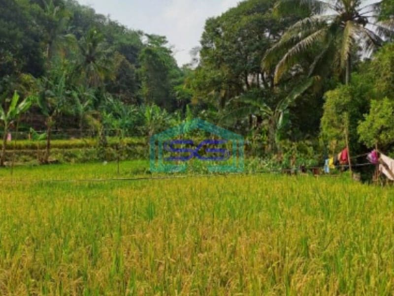 Dijual Tanah Sangat Bagus Luas 11000m2 Desa Rabak Rumpin Bogor