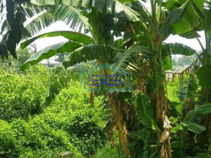 Dijual Tanah di Cipondoh Tangerang Luas Tanah  13215 m² Dekat Exit Tol Buaran