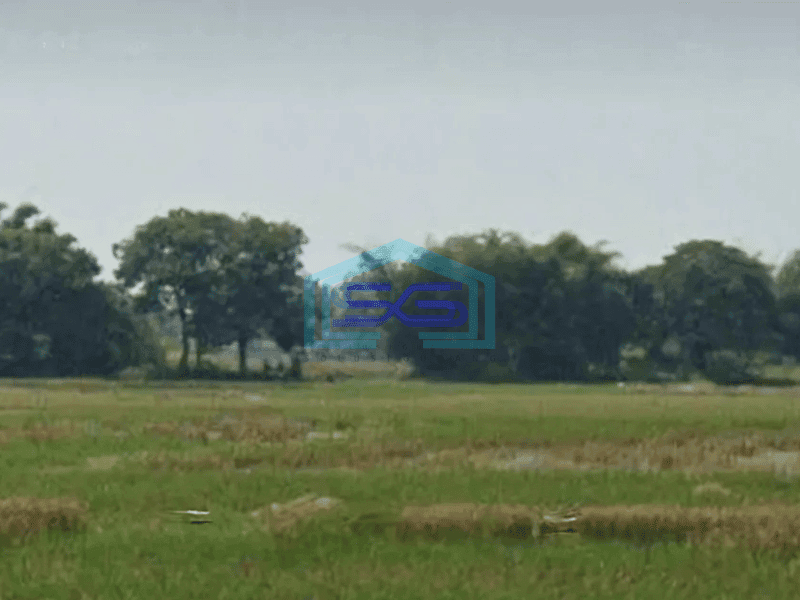 Dijual Tanah Datar Siap Bangun Di Kronjo Tangerang