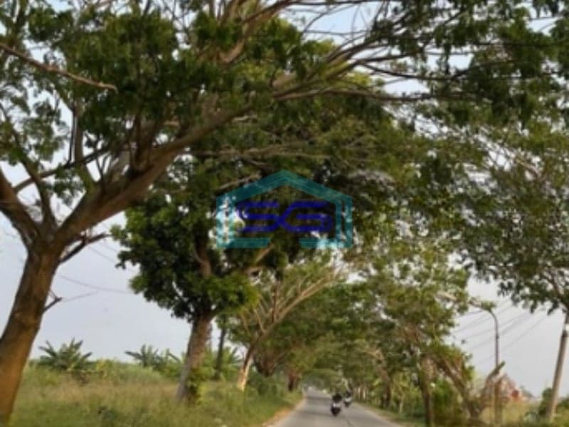 Dijual Tanah industri Murah dan Strategis Akses Kontainer Sayung Demak Jawa Tengah  LT 13897m2