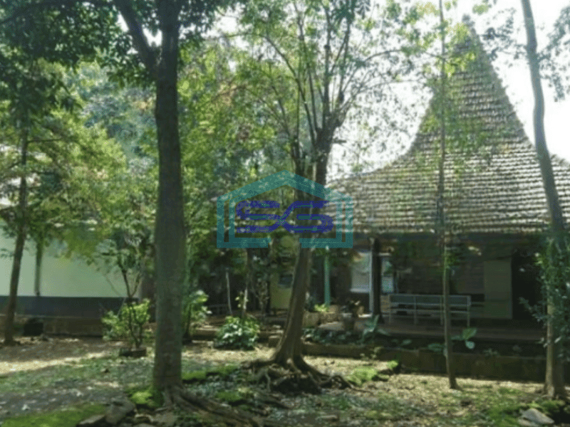 Dijual Tanah Lokasi Purwodadi Pasuruan Jawa Timur Luas  2564 m²