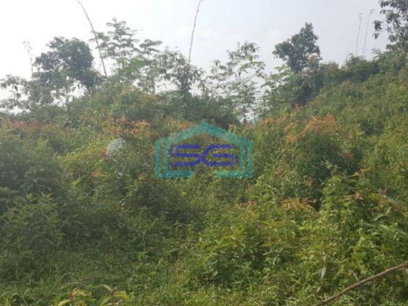 Dijual Tanah Di daerah Jasinga Bogor Letak Strategis Pinggir Jalan LT 14955m2