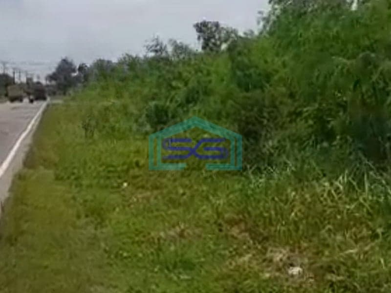 Dijual Tanah Jalan Tanjung Api-Api, Gasing, Sukajadi, Talang Kelapa, Banyuasin Sumatera Selatan LT 4 Ha