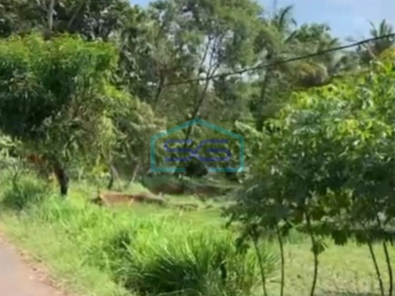 Dijual Tanah Murah Sudah SHM Terletak di Beber Cirebon Jawa Barat LT 2467m2