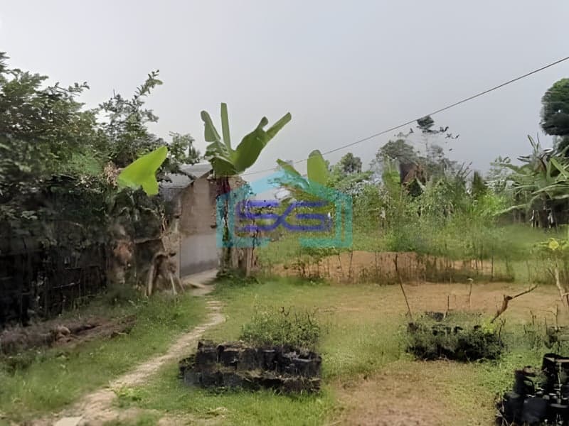 Dijual Tanah Harga Murah di Baturiti Tabanan Bali Luas Tanah 2780m2