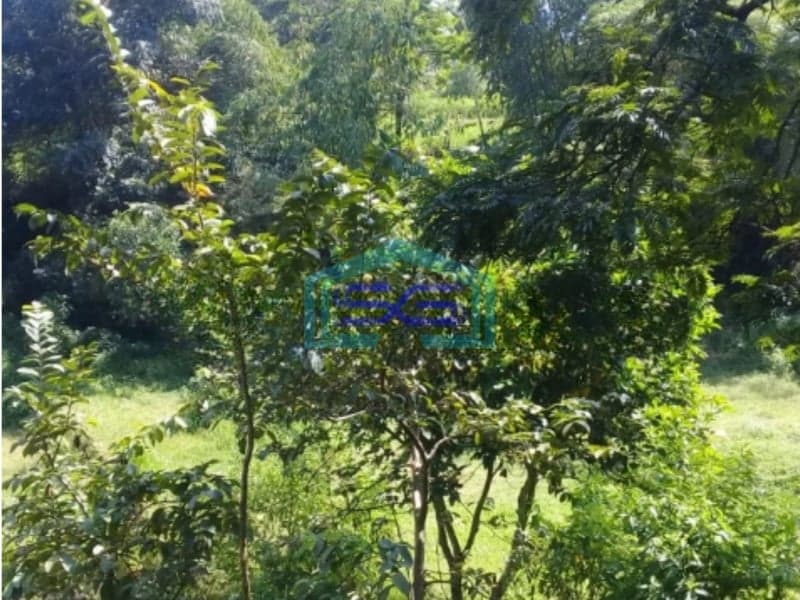 DIjual Tanah di Cimenyan Bandung Luas Tanah  3000 m²