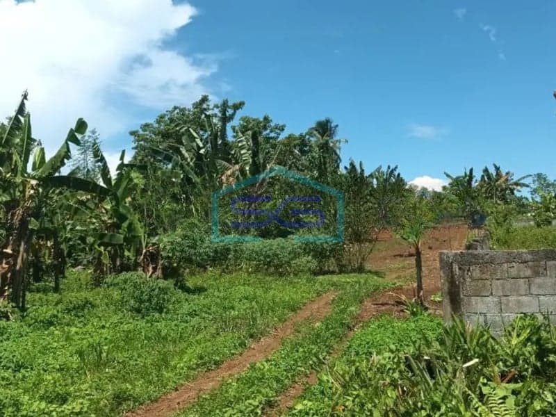 Dijual Tanah di Manado Sulawesi Utara Luas Tanah 10000 m²