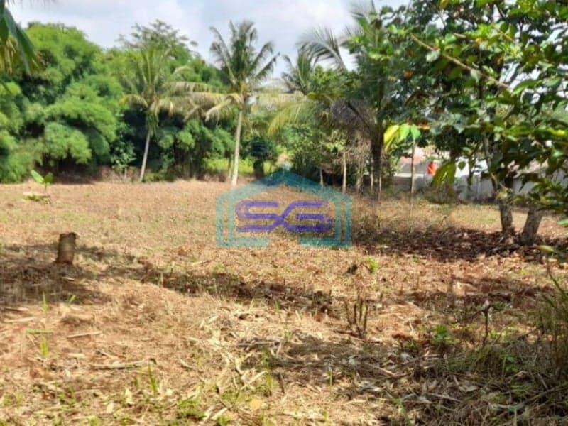 Dijual Tanah di Jalan Tengah Dekat Arco Sawangan Depok