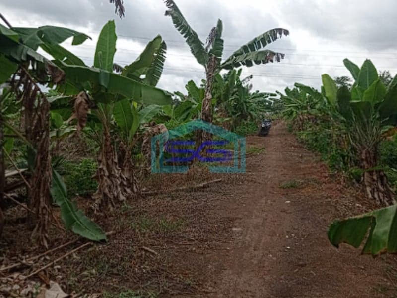 Dijual Tanah di Jalan Tanjung Api-Api Banyuasin Lokasi Strategis LT 22050m2