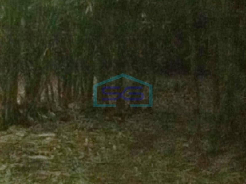 For Sale Land 10000 m² Freehold Certificate Bogor West Java