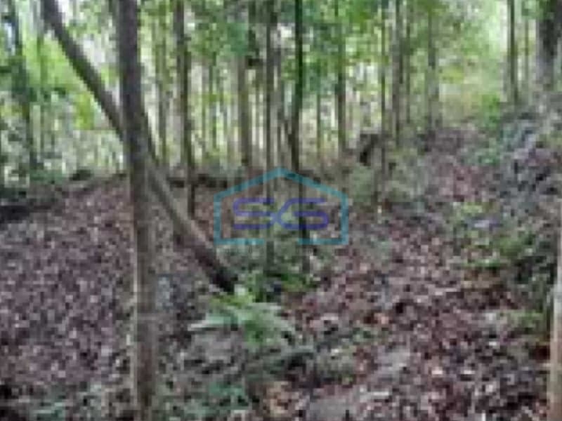 Dijual Tanah di Kulon Progo LT 2056 m2