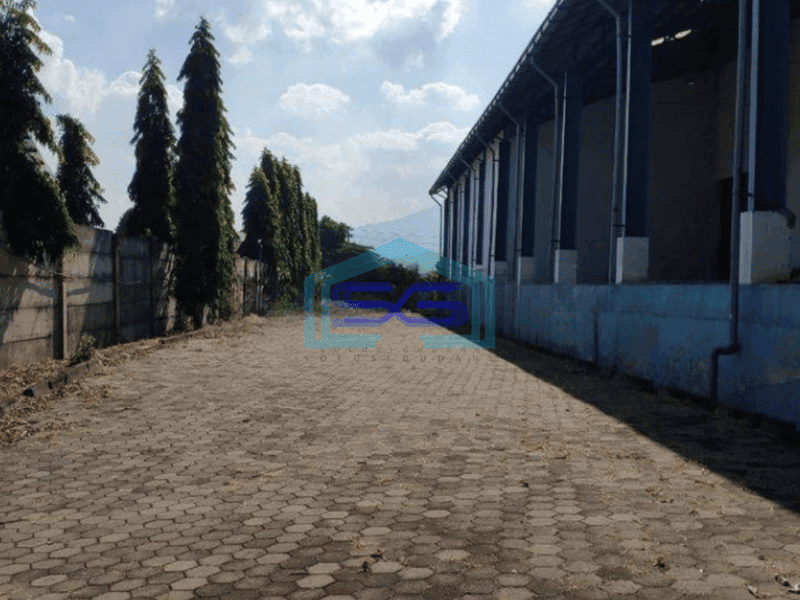 Disewakan Gudang Bawen Semarang Siap Pakai Luas Tanah 40000m2
