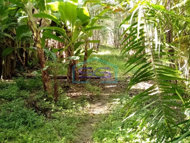 Dijual Lahan Tanah Banyuasin, Sumatera Selatan Luas tanah 1,7 Hektar