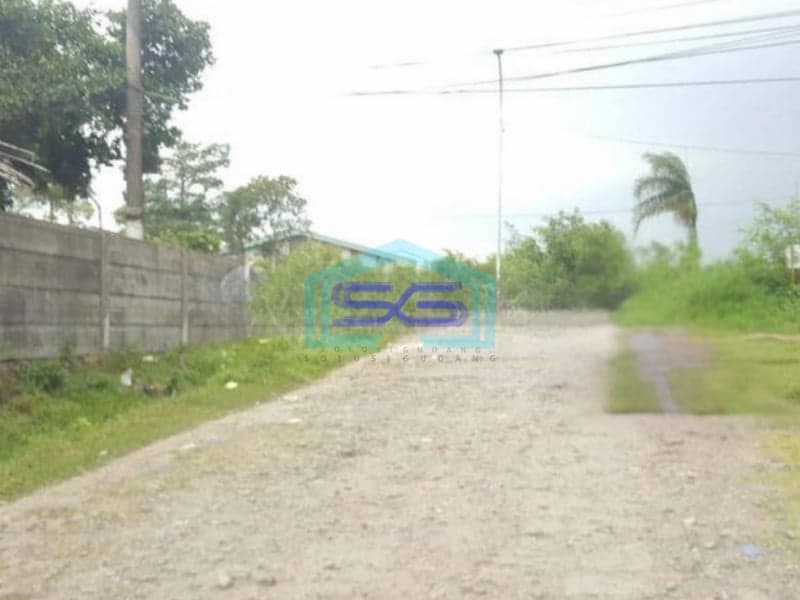 Dijual Tanah Luas 9 Hektar di Jawilan Pasir Limus Serang Lokasi Di Pinggir Jalan Raya