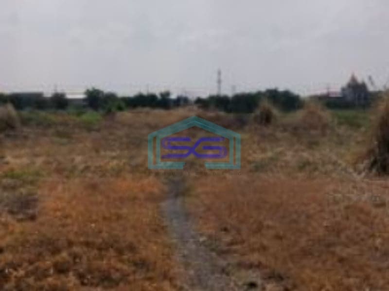 Disewakan Tanah Luas 5000 m² Lokasi Sidoarjo Jawa Timur