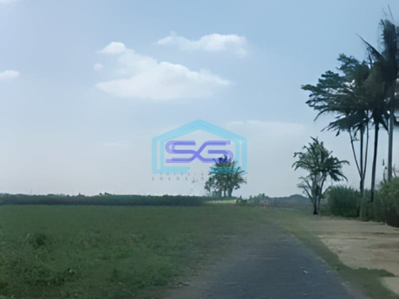 Dijual Tanah Luas 7320m2 SHM Lokasi di Pakisaji Malang