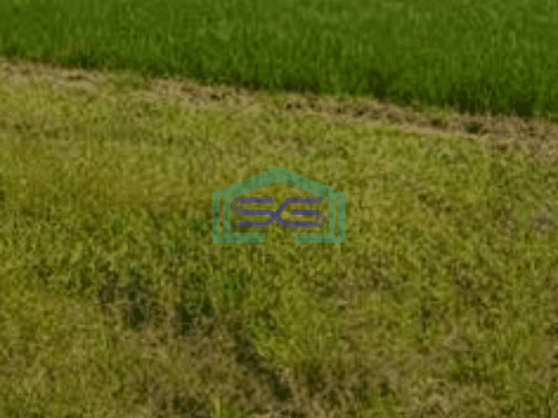 Dijual Tanah Lokasi di Sidoarjo Jawa Timur Luas 2610m2