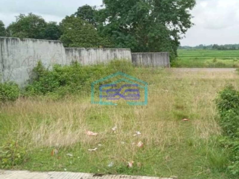 Dijual Tanah Luas 12000 m² Lokasi Bebas Banjir di Legok Tangerang
