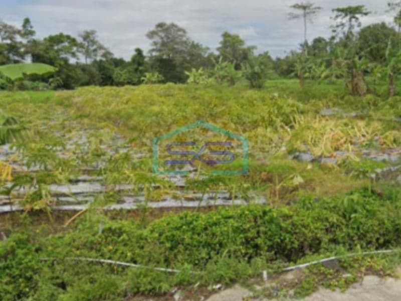 Dijual Tanah Lokasi di Umbulmartani, Ngemplak, Sleman Yogyakarta LT 2100m2