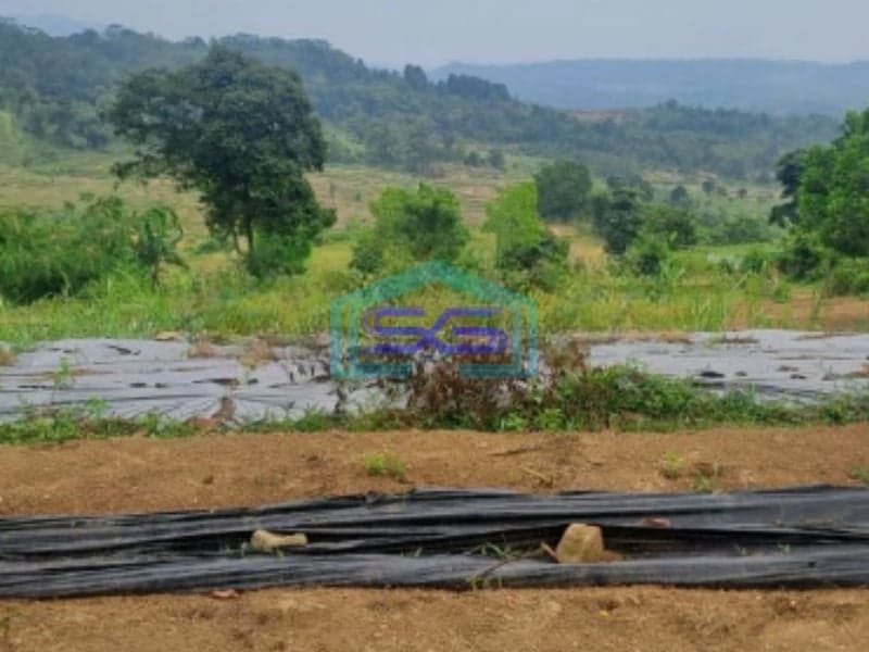 Dijual Tanah Sukaresmi Sukamakmur Bogor Luas Tanah 540000m2
