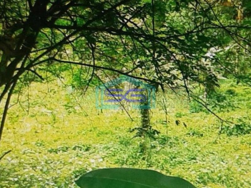 Dijual Tanah Di Jalan Sholeh Iskandar Bogor Dekat Tol LT 7012m2
