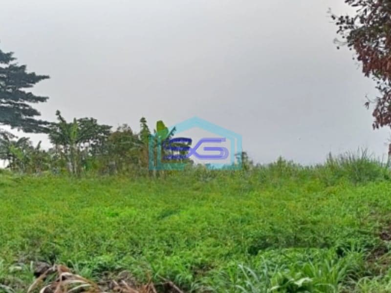 Dijual Tanah Murah Luas 5600 m² Lokasi di Bogor Jawa Barat