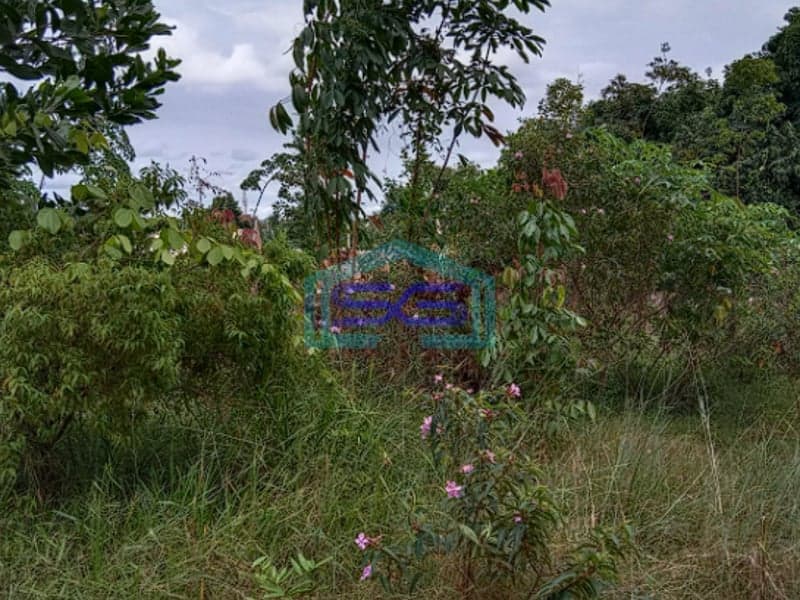 Dijual Tanah Strategis di Jl. Duku Komp Polantas, Kel. Sukajaya, Kec. Sukarami, Palembang LT 3110m2
