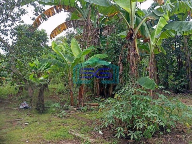 Dijual Tanah Kavling Murah Siap Bangun Di Pagedangan Tangerang LT 3200m2