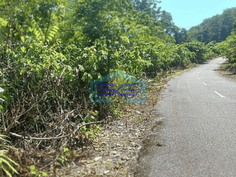 Dijual Tanah Di Maratua Kavling Lokasi Disampingnya Arasatu Resort Sebelah Selatan