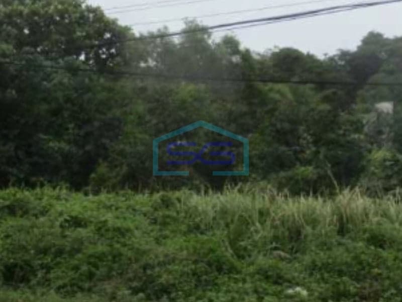 Dijual Tanah Luas 2500 m² Sertfkat SHM Lokasi di Serang Banten