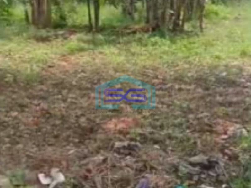 Dijual Pabrik Luas Bangunan  3500 m² Lokasi Sukoharjo Jawa Tengah