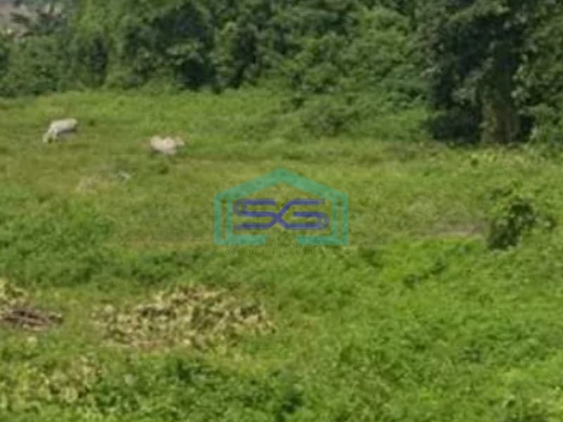 Dijual Tanah Daerah Curug Dekat Dengan Citra Raya Curug, Tangerang Luas Tanah  7300 m²