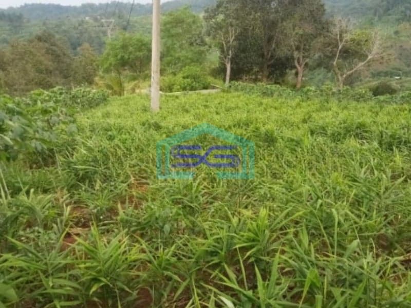 Dijual Tanah Di kebunduren Kutawarngin Cianjur Luas Tanah 85000m2