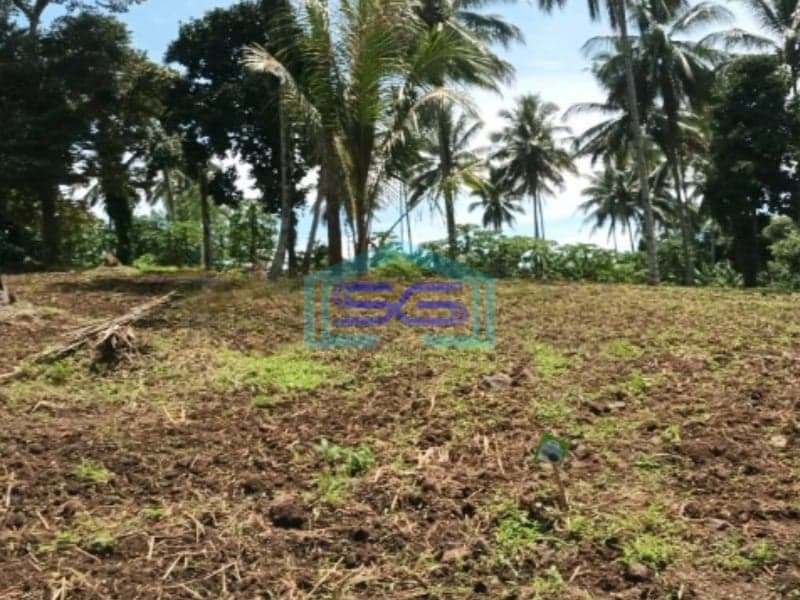 Dijual Tanah Di Jl Raya Manado Bitung Desa Kaima Pas Buat Pergudangan Airmadidi, Minahasa Utara Luas Tanah 110000 m²