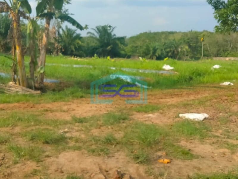 Dijual Tanah di Jalan Sukamoro Sei Hitam Palembang Banyuasin Luas 60000m2