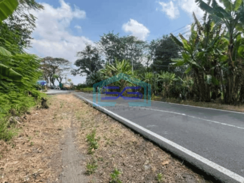 Dijual Tanah Industri Sangat Strategis Lokasi Pedan Klaten Luas 28 Ha