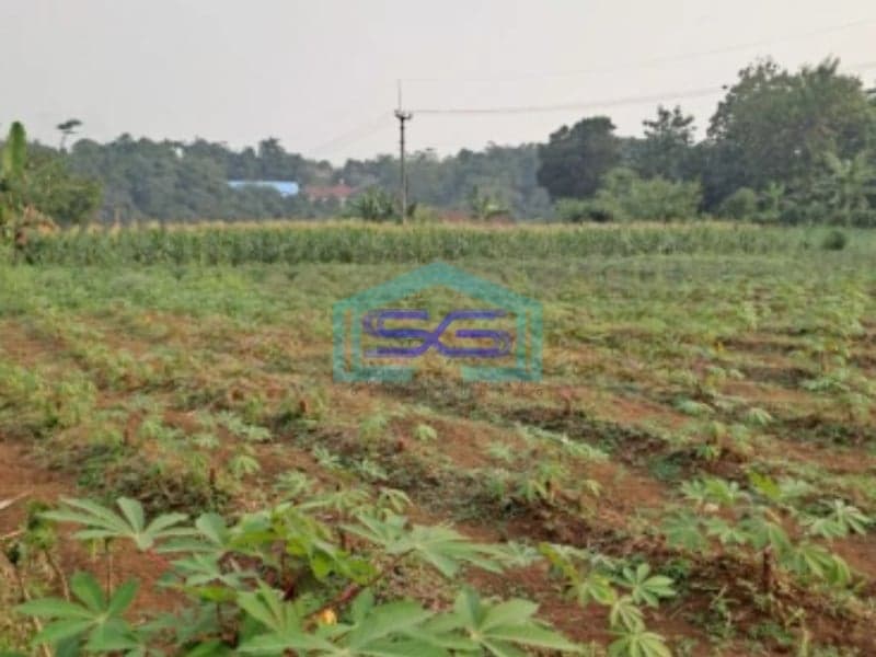 Dijual Tanah Rancabungur Bogor Jawa Barat Luas Tanah 25000m2
