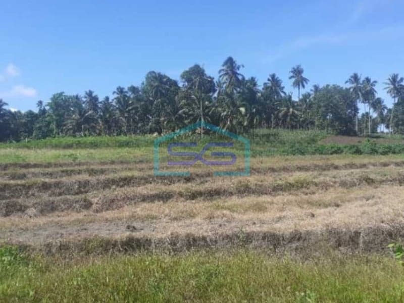 Dijual Tanah di Desa Batu Likupang, Minahasa Utara Dengan Luas 420000 m²