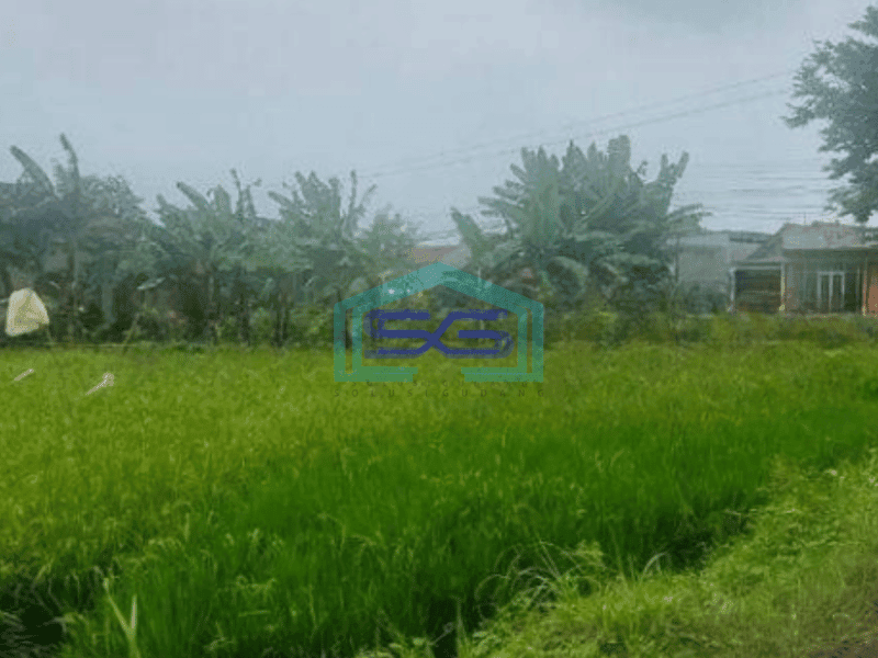 Dijual Tanah Posisi Strategis Jalan Utama Di Serang Cibarusah Cikarang Bebas Banjir