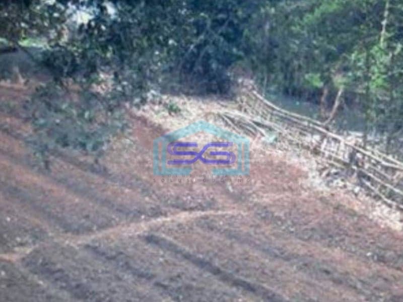 Dijual Tanah Di Jalan Sholeh Iskandar Bogor Dekat Tol LT 7012m2