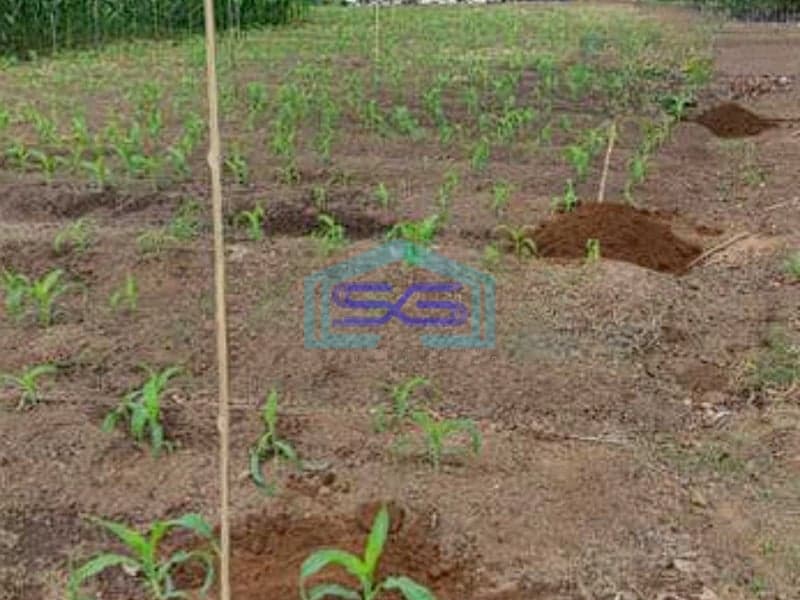 Dijual Tanah Murah Luas di Pinggir jalan Raya Kamojang Garut LT 17.5 Ha