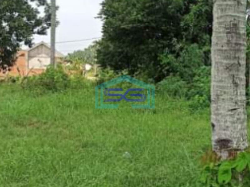 Dijual Tanah Padat Siap Bangun Talang Jambe Palembang Luas Tanah 2287m2