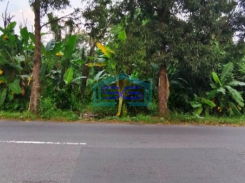 Disewakan Tanah Luas Bagus Strategis di Ngagik Sleman Yogyakarta