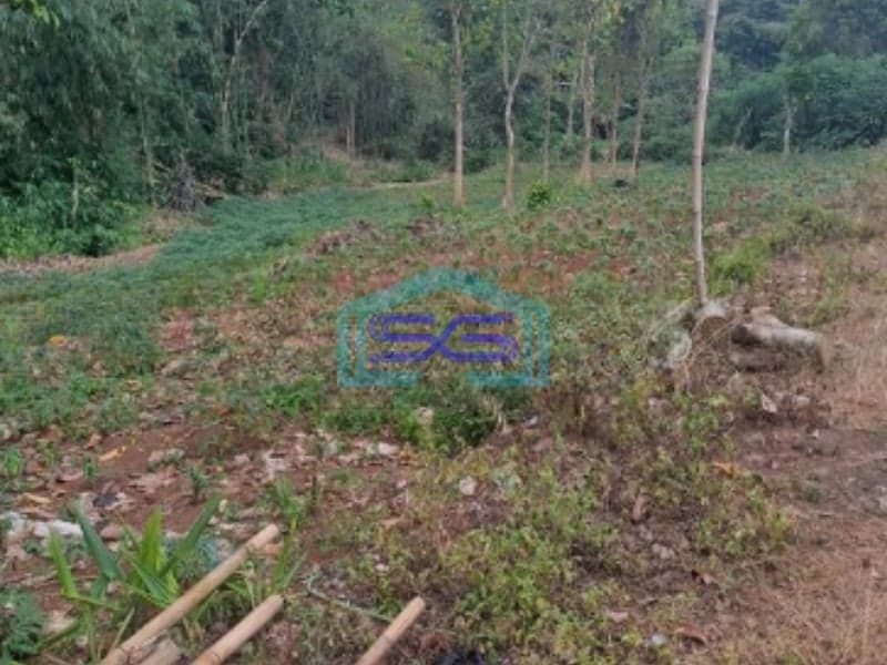 Dijual Tanah di Mekarsari Rumpin Bogor Luas Tanah 1700m2
